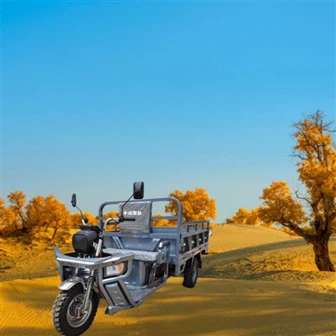 Lagani električni teretni tricikl